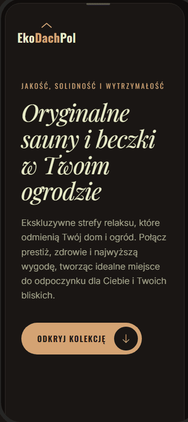 Zrzut ekranu Demo SPA