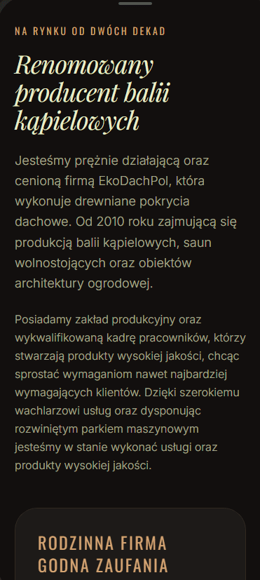 Zrzut ekranu Demo SPA