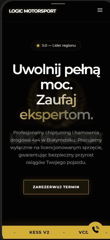 Zrzut ekranu Logic Motorsport